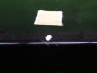 0000083391-6