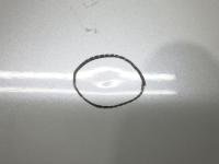 0000079761-10
