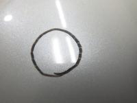 0000079947-10