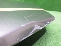 YX05727 レクサス NX 10系 ボンネットフード AYZ10_AYZ15_AGZ10_AGZ15 ( 0500000068682 )