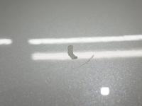 0000092472-16