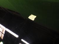 0000031684-6