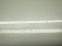 0000088656-27