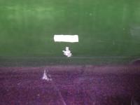 0000081184-12