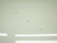 0000090507-11