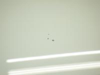 0000090507-13