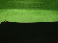 0000066635-10