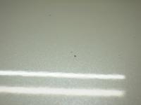 0000087173-13