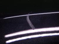 0000085117-21