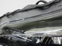 2042246(0100000194555)