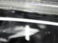 2049141(0100000195852)