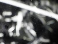 2093841(0100000195908)