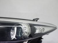 2151742(0100000195442)