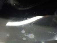 2176841(0100000187524)