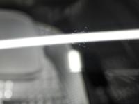 2186641(0100000201646)