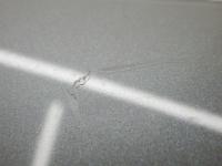 2208642(0100000195758)