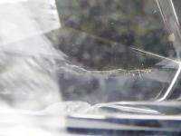 4156341(0100000194764)