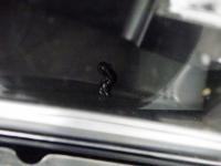 4207141(0100000198292)