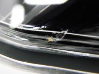 T92962(0300000197804)